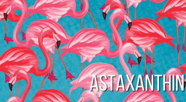 Das Geheimnis des Flamingo-Pinks