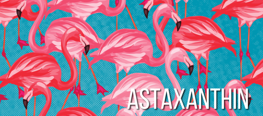 Das Geheimnis des Flamingo-Pinks