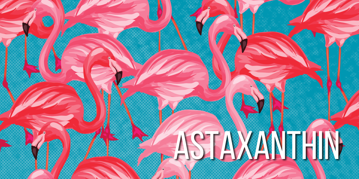 Das Geheimnis des Flamingo-Pinks