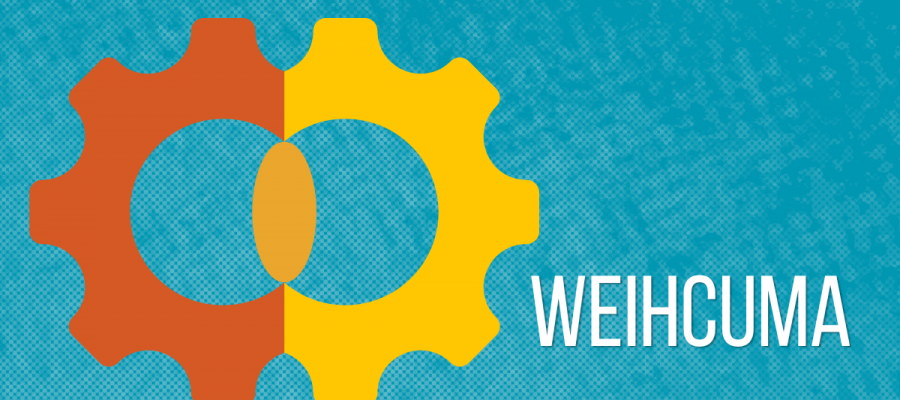 Weihcuma ein innovatives Produkt vereint Weihrauch und Curcumin