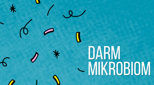 Darmmikrobiom, Bakterien, Darmflora