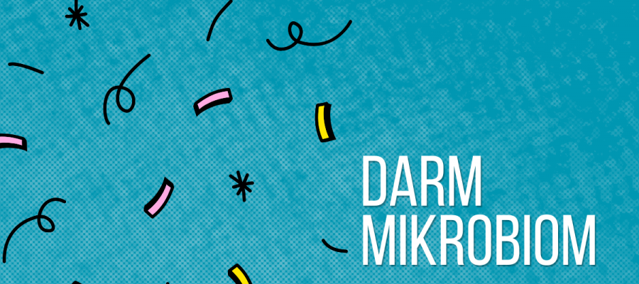 Darmmikrobiom, Bakterien, Darmflora