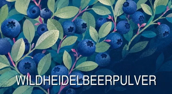Wildheidelbeeren mit Blättern und Schriftzug „Wildheidelbeerpulver“