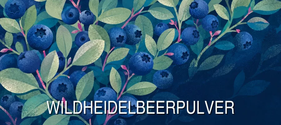 Wildheidelbeeren mit Blättern und Schriftzug „Wildheidelbeerpulver“